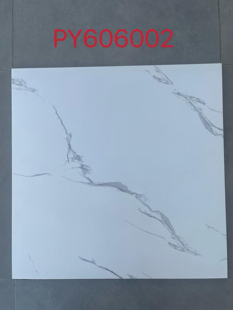 PY606002