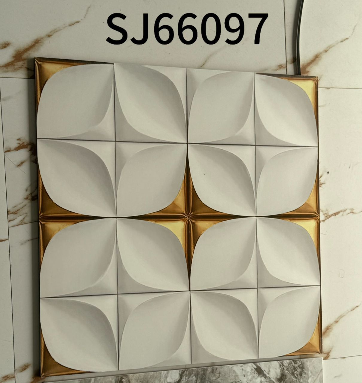 SJ66097
