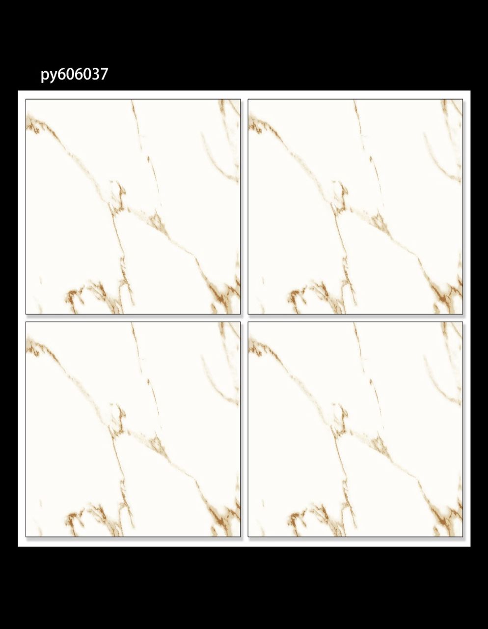 py606037