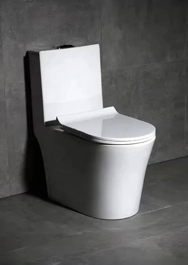 Cuvette de WC monobloc