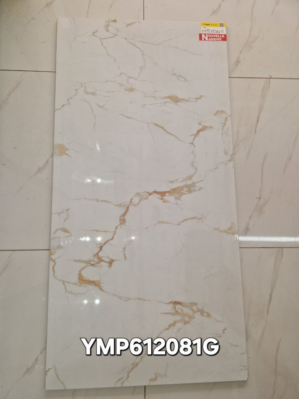 YMP612081G