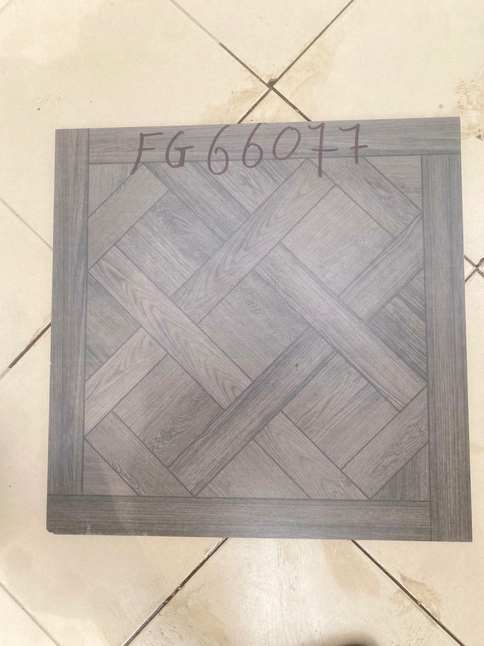 FG66077