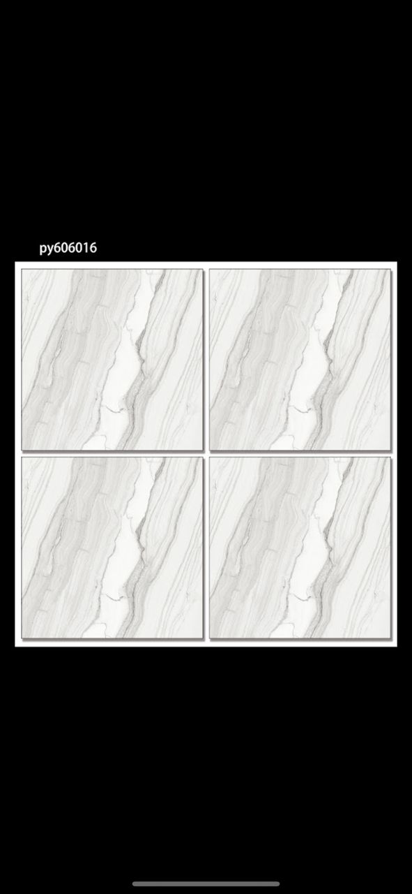 py606016