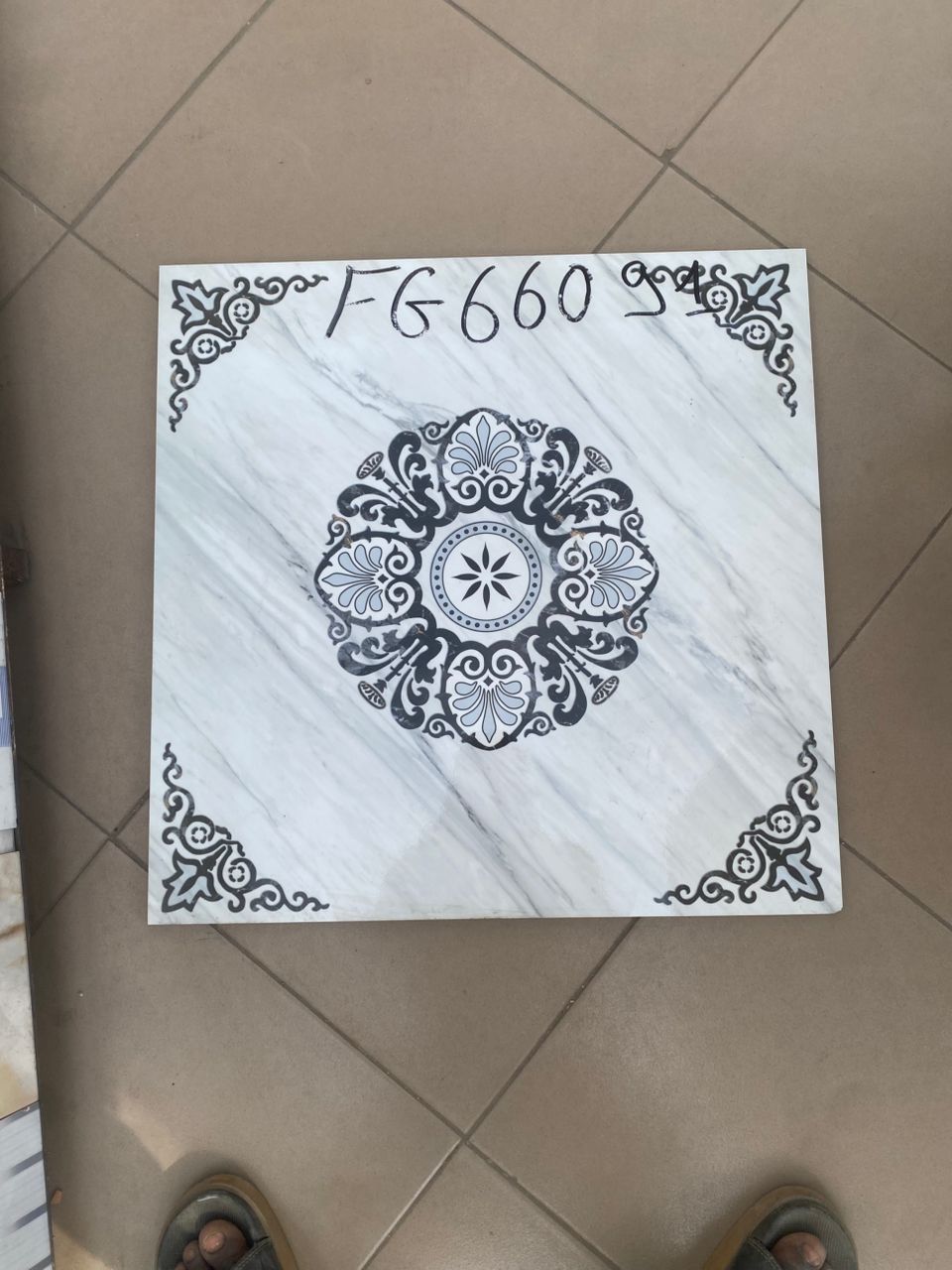 FG66054