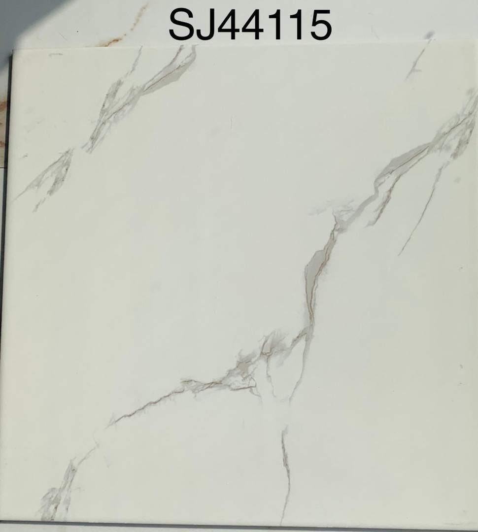 SJ44115
