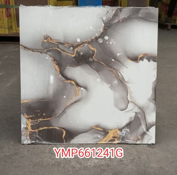 YMP661241G