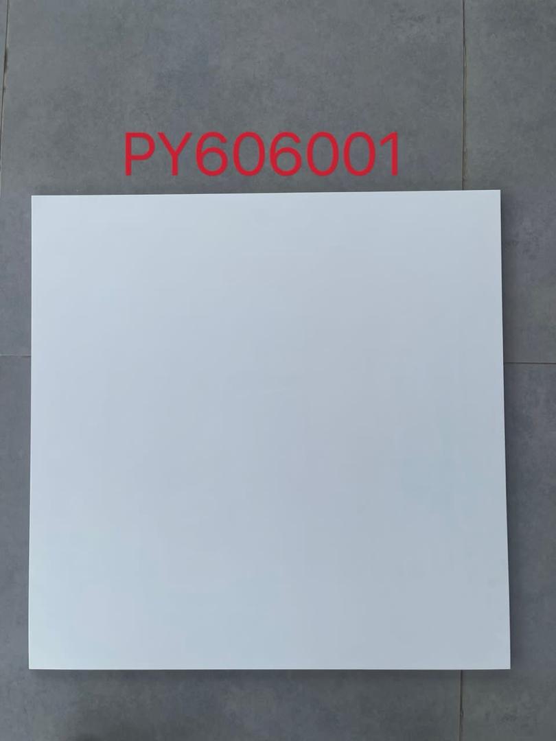 PY606001
