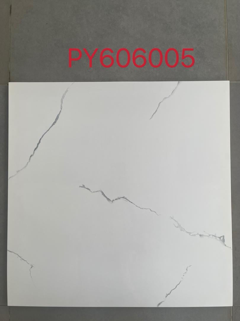 PY606005