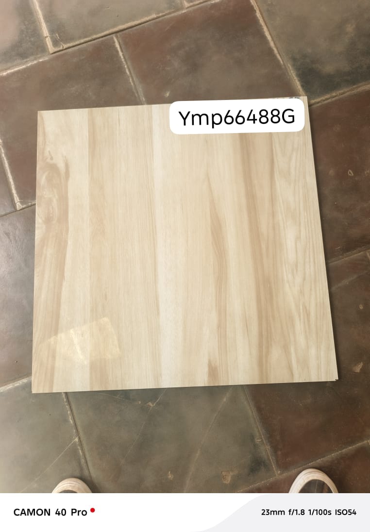 Ymp66488G