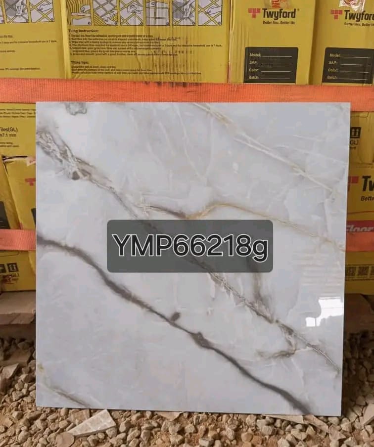 YMP66218g