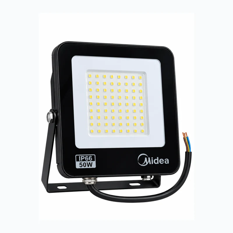 Projecteur 50 W